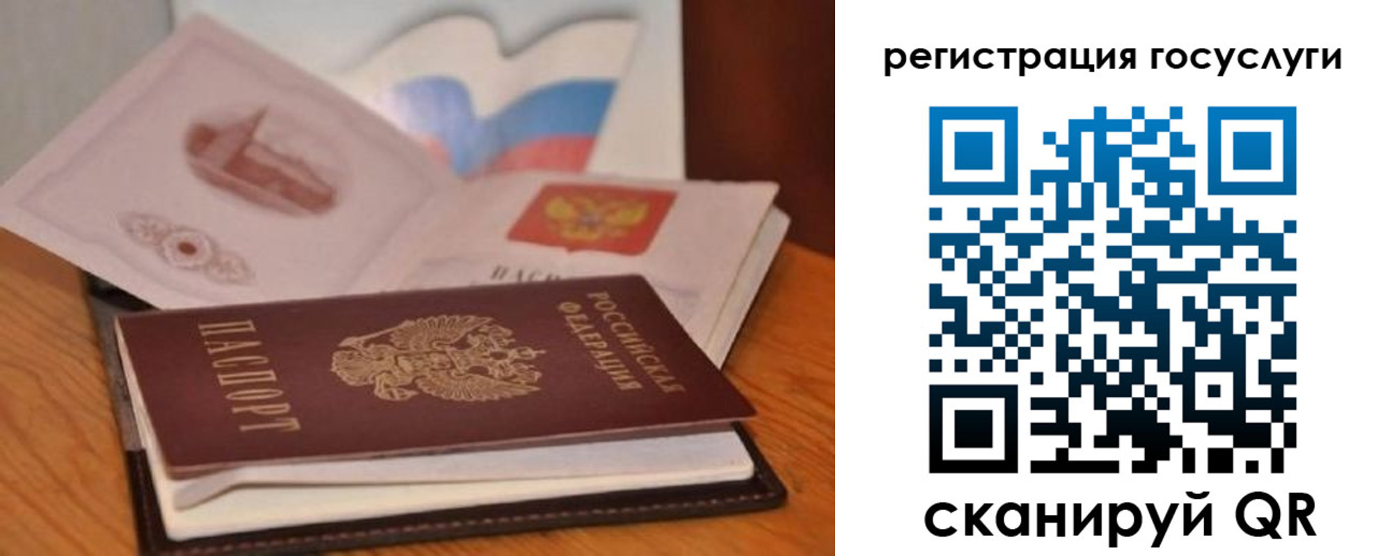 прописка законно в Щиграх